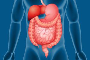 Gastroenteroloji Hastalık ve Tedavileri