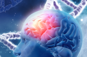Beyin ve Sinir Hastalıkları Tedavileri